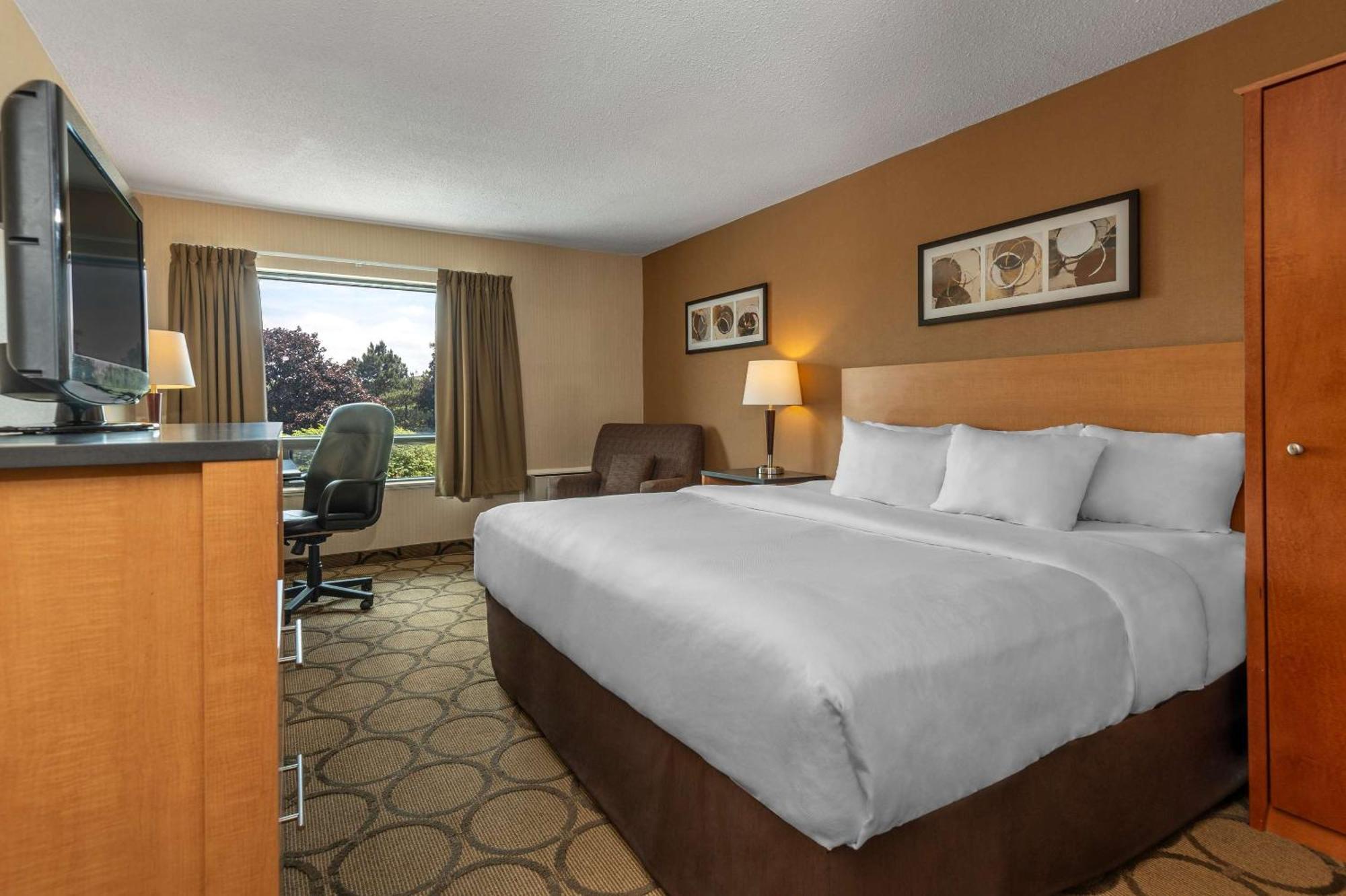קמפבלטון Comfort Inn מראה חיצוני תמונה